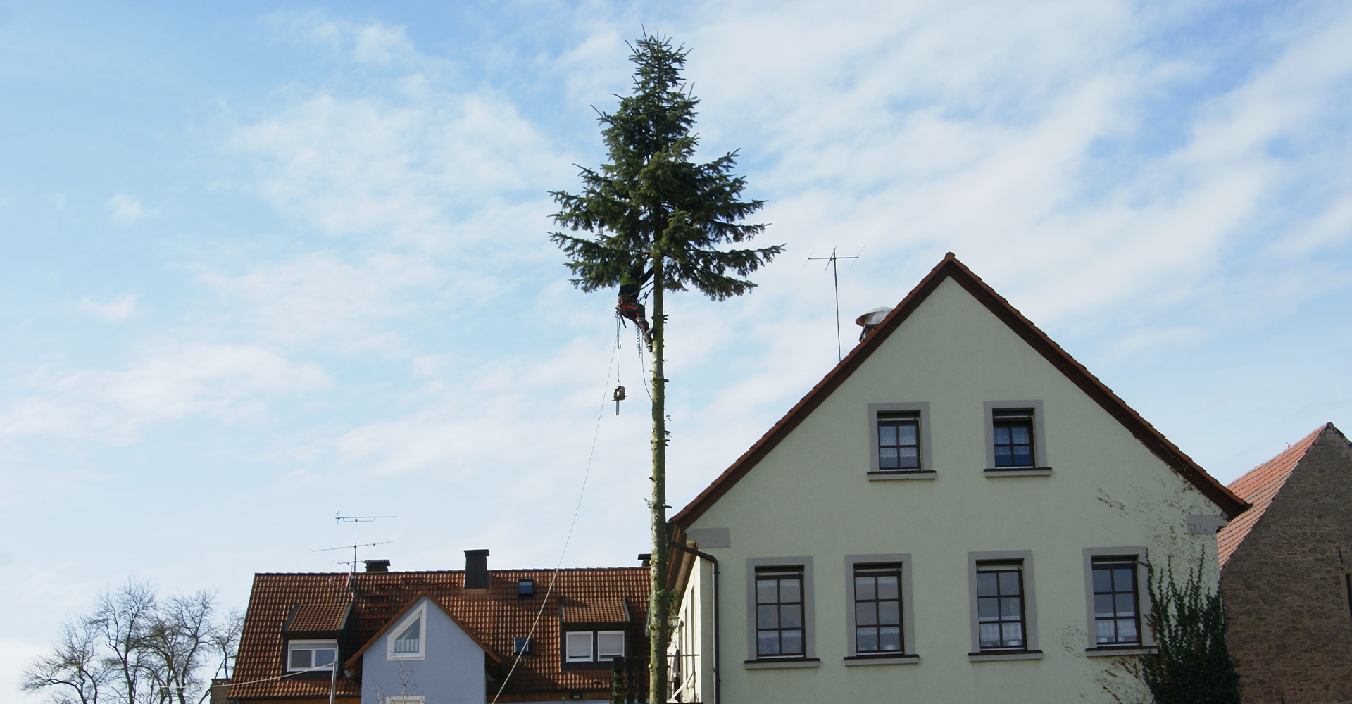 Baumkletterer arbeitet sich nach oben