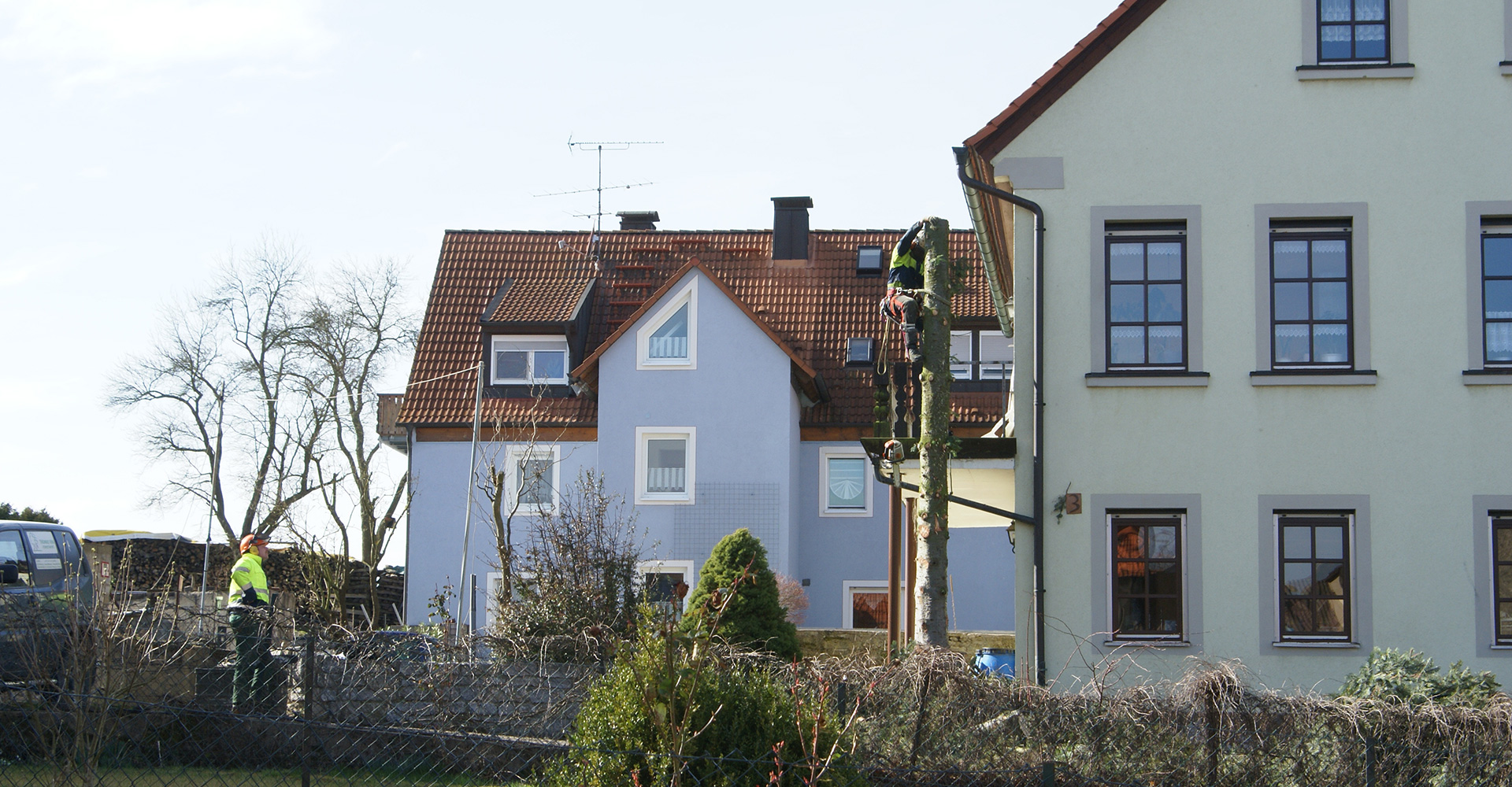 Stamm wird heruntergeschnitten