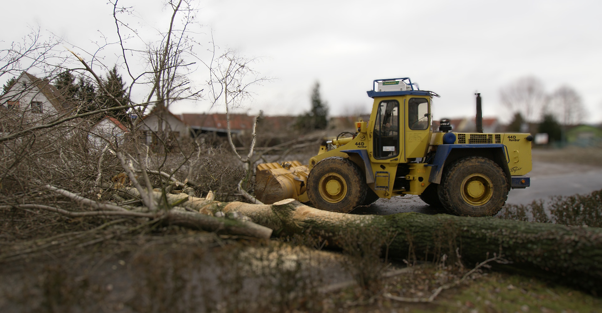 Hanomag schiebt gefällten Baum