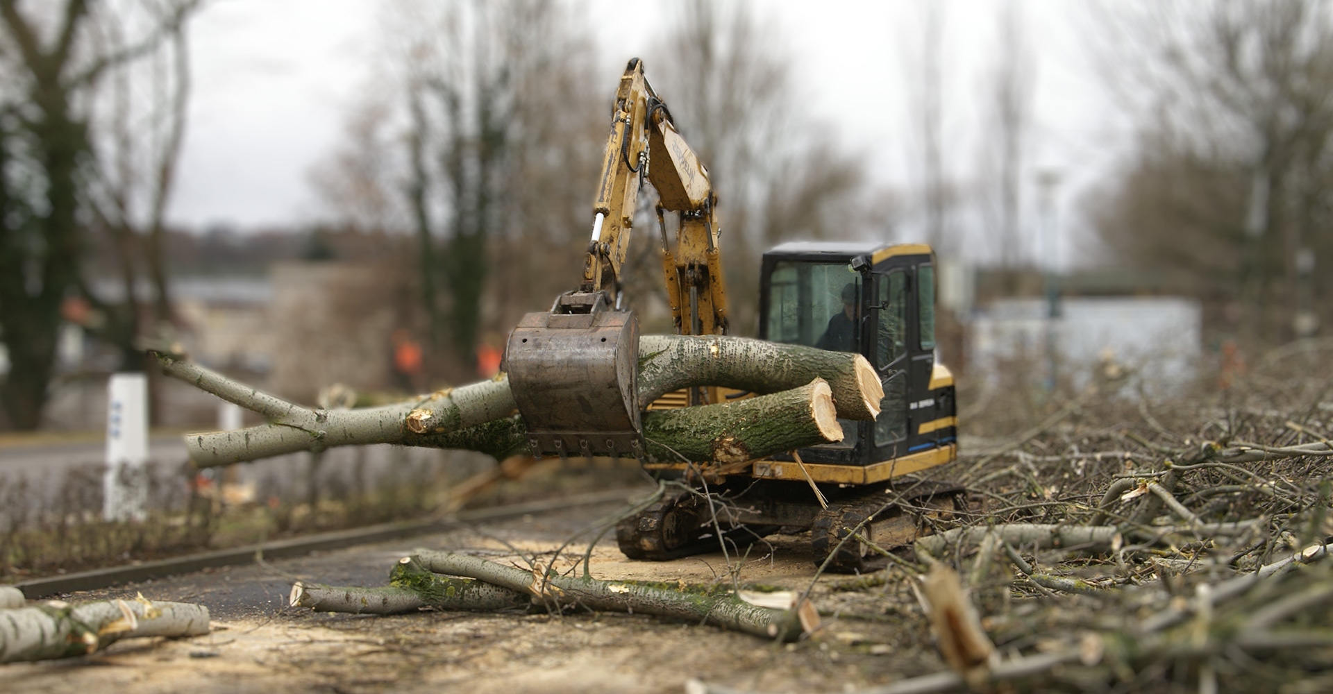 Bagger hebt gefällten Baum
