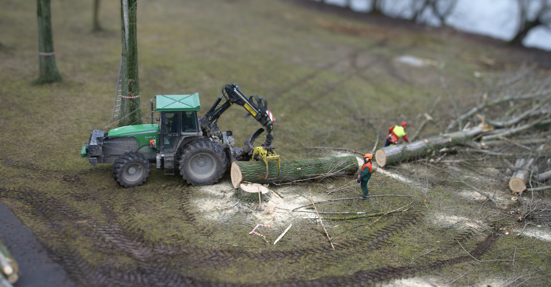 Baumstamm wird von Hebefahrzeug gegriffen