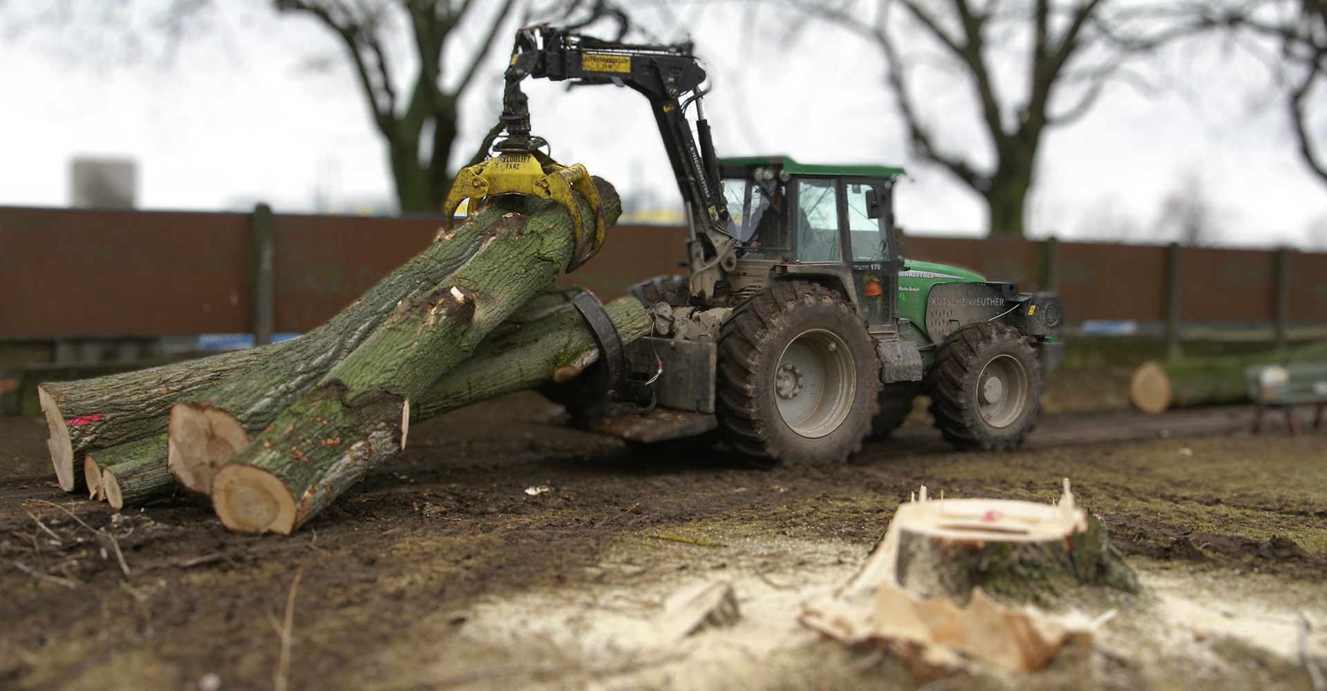 Hebefahrzeug greift Baumstämme