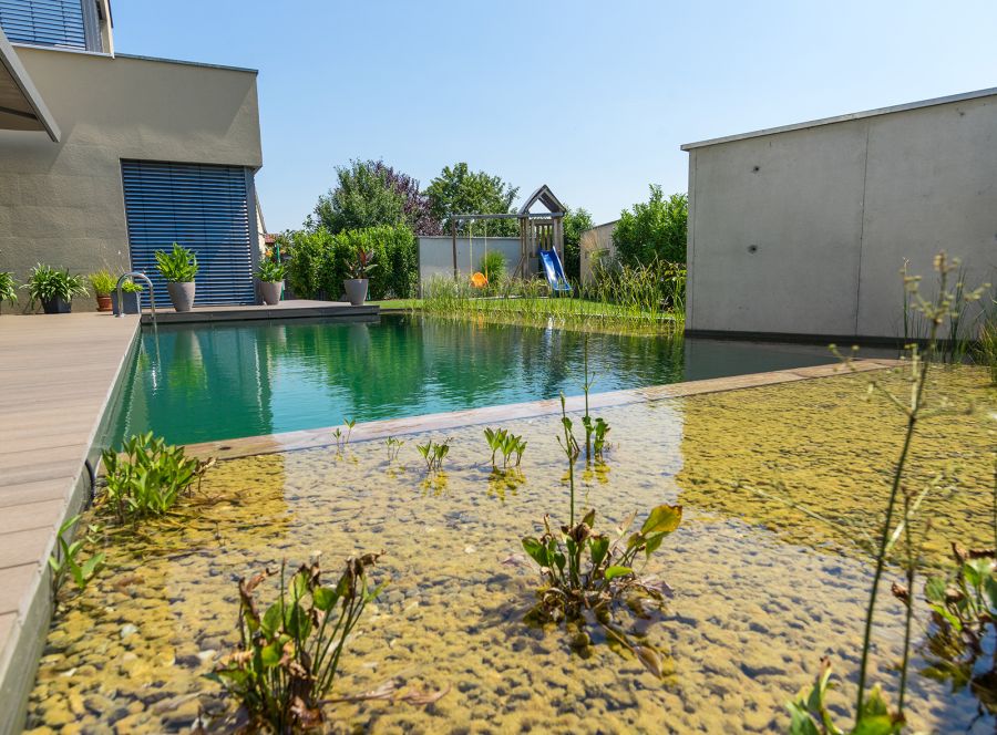Schwimmteich mit Filterzone