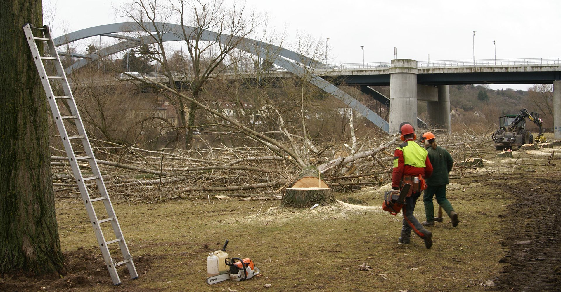 Arbeiter gehen zum gefällten Baum