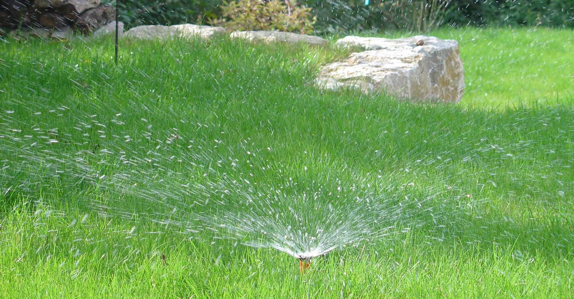 Frisches Wasser für den Rasen